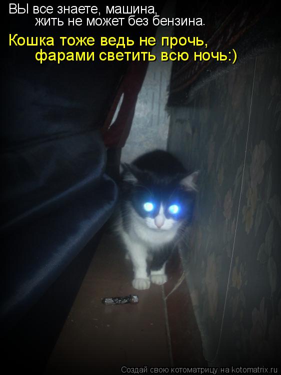 ВЫ все знаете, машина, жить не может без бензина . Кошка тоже ведь не прочь, фарами светить всю ночь:... Котоматрица: ВЫ все знаете, машина, жить не может без бензина . Кошка тоже ведь не прочь, фарами светить всю ночь:)
