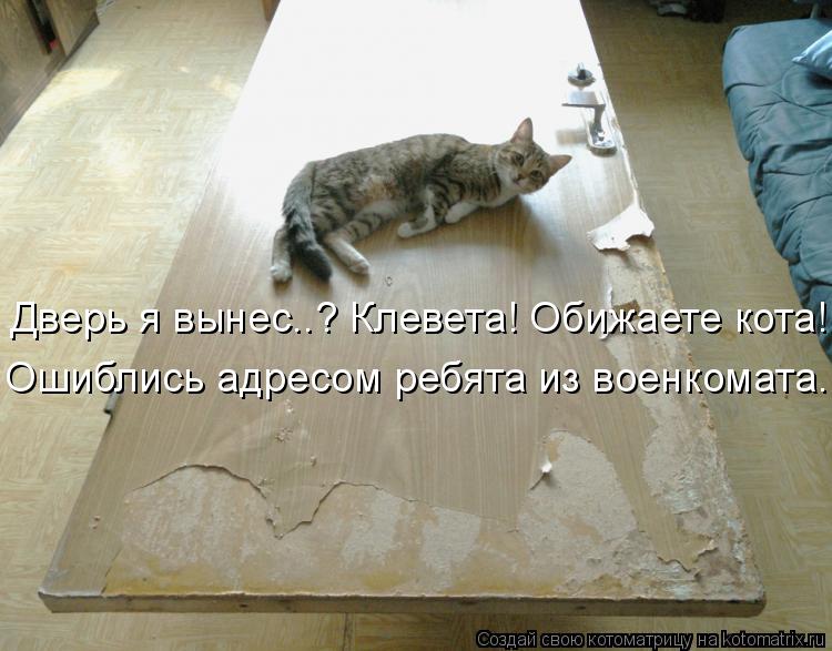 Дверь я вынес..? Клевета! Обижаете кота! Ошиблись адресом ребята из военкомата...... Котоматрица: Дверь я вынес..? Клевета! Обижаете кота! Ошиблись адресом ребята из военкомата...