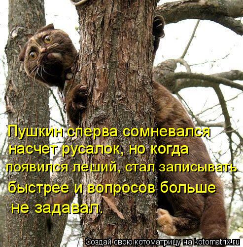 Пушкин сперва сомневался насчет русалок, но когда появился леший, стал записывать быстрее и вопрос... Котоматрица: Пушкин сперва сомневался насчет русалок, но когда появился леший, стал записывать быстрее и вопросов больше не задавал.