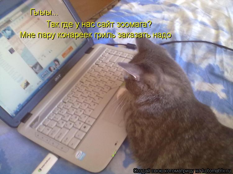 Котоматрица: Гыыы... Так где у нас сайт зоомага? Мне пару конареек гриль заказать надо
