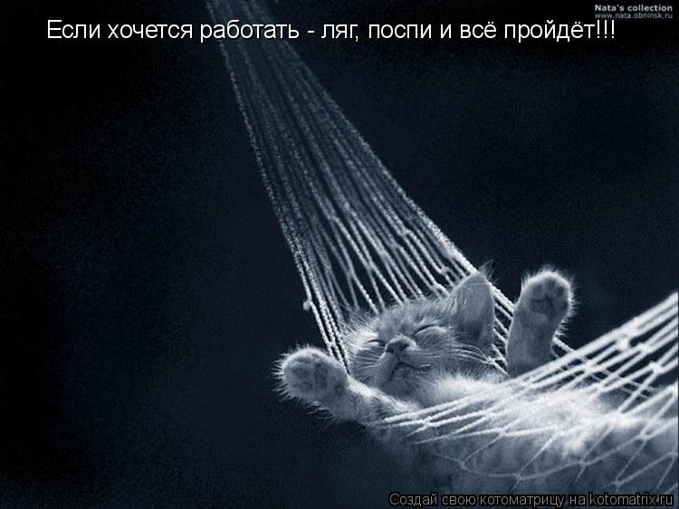 Котоматрица: Если хочется работать - ляг, поспи и всё пройдёт!!!