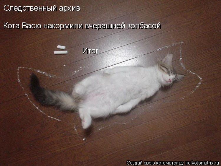 Котоматрица: Следственный архив : Кота Васю накормили вчерашней колбасой Итог