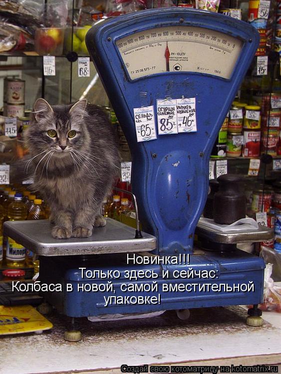 Котоматрица: Новинка!!! Только здесь и сейчас: Колбаса в новой, самой вместительной упаковке!