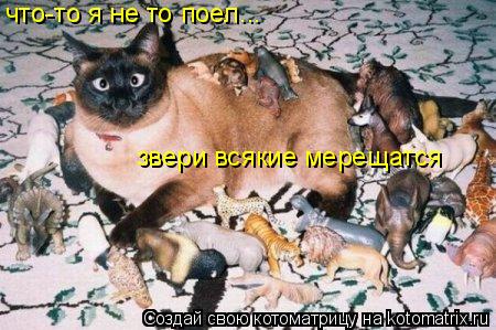 Котоматрица: что-то я не то поел... звери всякие мерещатся