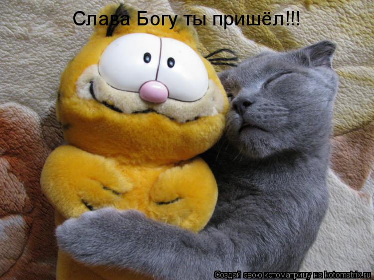 Котоматрица: Слава Богу ты пришёл!!!