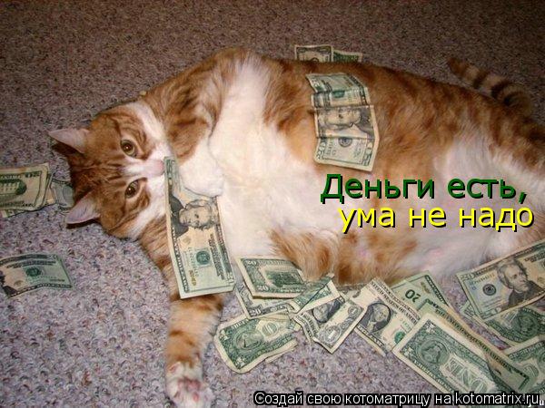 Котоматрица: Деньги есть, ума не надо
