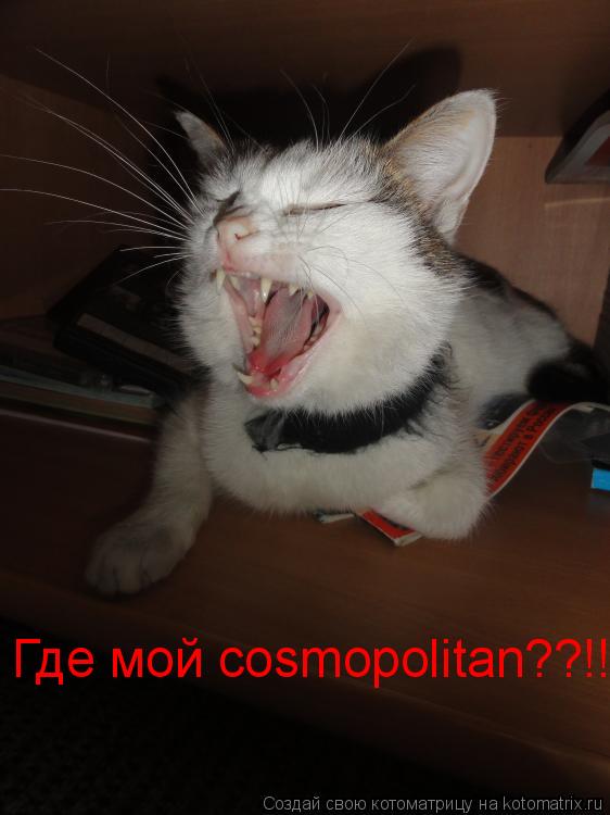 Котоматрица: Где мой cosmopolitan??!!