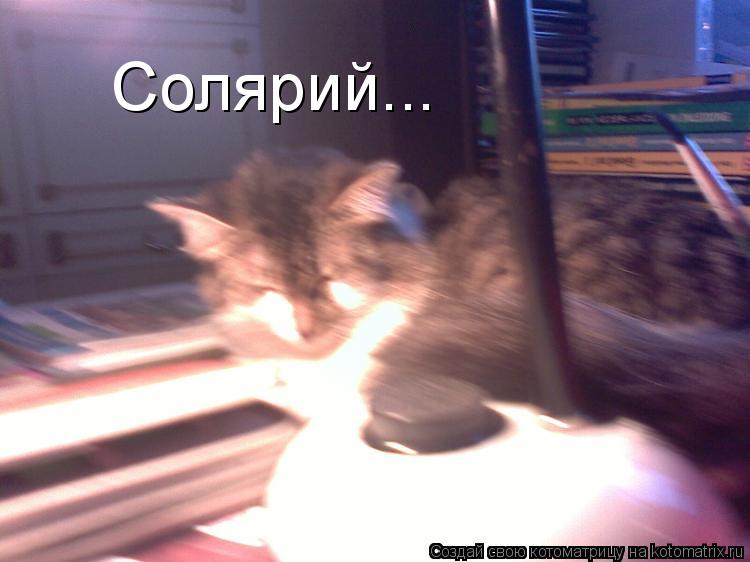 Котоматрица: Солярий...