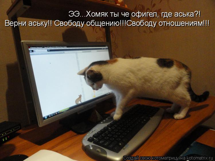 Котоматрица: ЭЭ...Хомяк ты че офигел, где аська?! Верни аську!! Свободу общению!!!Свободу отношениям!!!