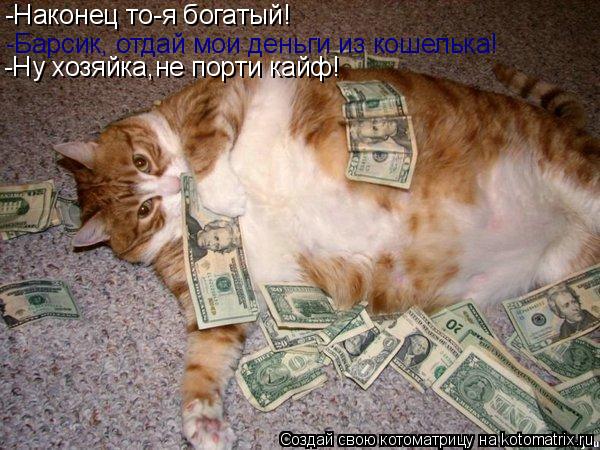Котоматрица: -Наконец то-я богатый! -Барсик, отдай мои деньги из кошелька! -Барсик, отдай мои деньги из кошелька! -Ну хозяйка,не порти кайф!