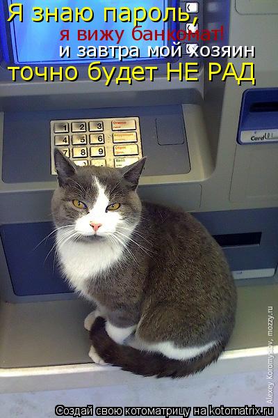 Котоматрица: Я знаю пароль, я вижу банкомат и завтра мой хозяин точно будет НЕ РАД !