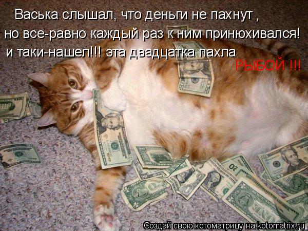 Васька слышал, что деньги не пахнут , но все-равно каждый раз к ним принюхивался! и таки-нашел!!! эта... Котоматрица: Васька слышал, что деньги не пахнут , но все-равно каждый раз к ним принюхивался! и таки-нашел!!! эта двадцатка пахла РЫБОЙ !!!