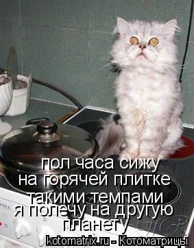Котоматрица: пол часа сижу  на горячей плитке  такими темпами я полечу на другую  планету