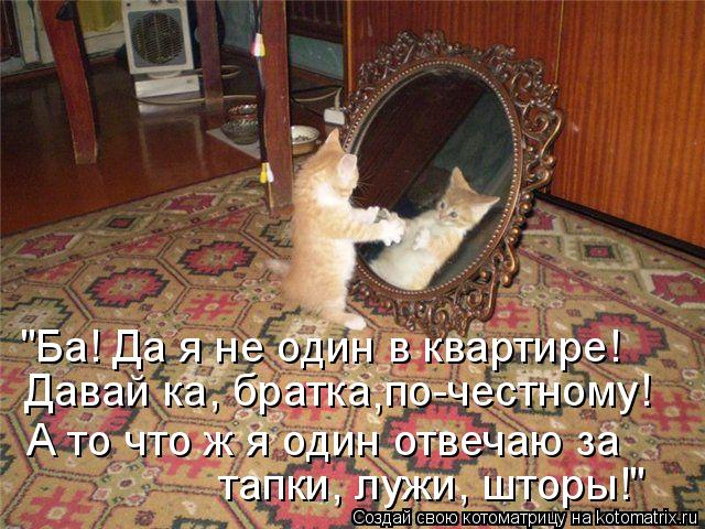 Котоматрица: "Ба! Да я не один в квартире! Давай ка, братка по-честному! , А то что ж я один отвечаю за   тапки, лужи, шторы!"