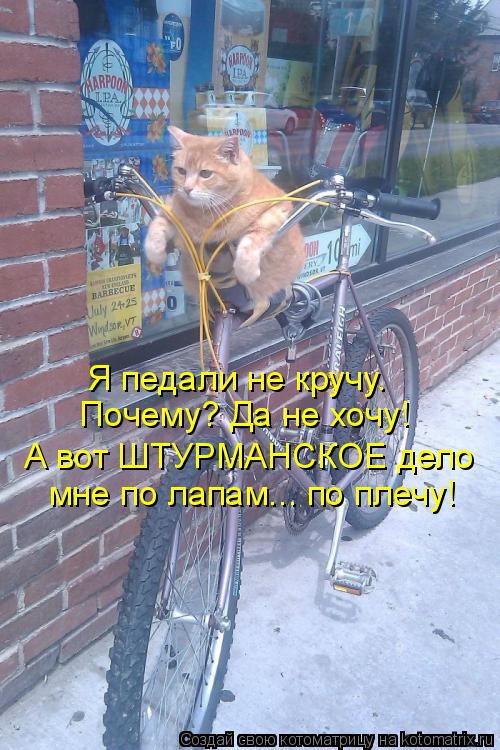 Я педали не кручу. А вот ШТУРМАНСКОЕ дело мне по лапам... по плечу! Почему? Да не хочу!... Котоматрица: Я педали не кручу. А вот ШТУРМАНСКОЕ дело мне по лапам... по плечу! Почему? Да не хочу!