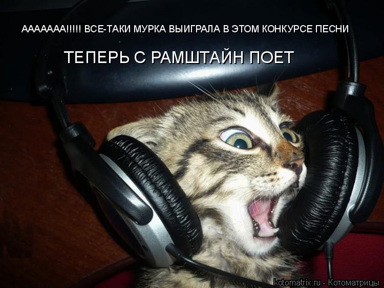 Котоматрица: ААААААА!!!!! ВСЕ-ТАКИ МУРКА ВЫИГРАЛА В ЭТОМ КОНКУРСЕ ПЕСНИ ТЕПЕРЬ С РАМШТАЙН ПОЕТ