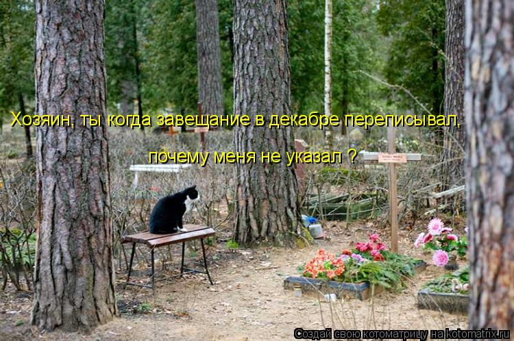 Котоматрица: Хозяин, ты когда завещание в декабре переписывал,  почему меня не указал ?
