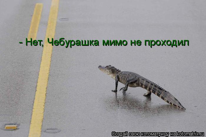 Котоматрица: - Нет, Чебурашка мимо не проходил