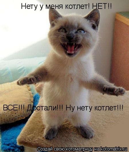 Котоматрица: Нету у меня котлет! НЕТ!! ВСЕ!!! Достали!!! Ну нету котлет!!!