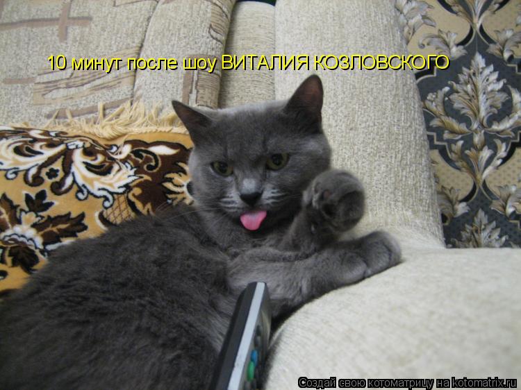 Котоматрица: 10 минут после шоу ВИТАЛИЯ КОЗЛОВСКОГО