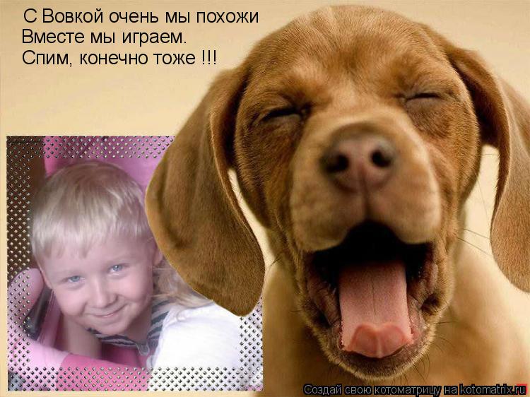 Котоматрица: С Вовкой очень мы похожи Вместе мы играем. Спим, конечно тоже !!!