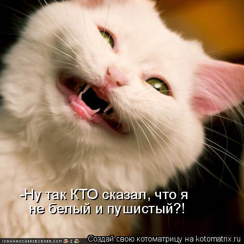 -Ну так КТО сказал, что я не белый и пушистый?!... Котоматрица: -Ну так КТО сказал, что я не белый и пушистый?!