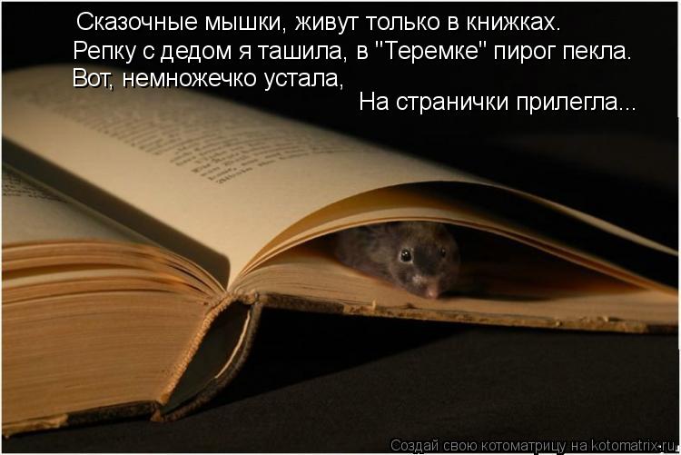 Котоматрица: Сказочные мышки, живут только в книжках. Репку с дедом я ташила, в "Теремке" пирог пекла. Вот, немножечко устала,  На странички прилегла...