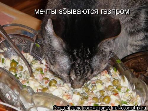 мечты збываются газпром... Котоматрица: мечты збываются газпром