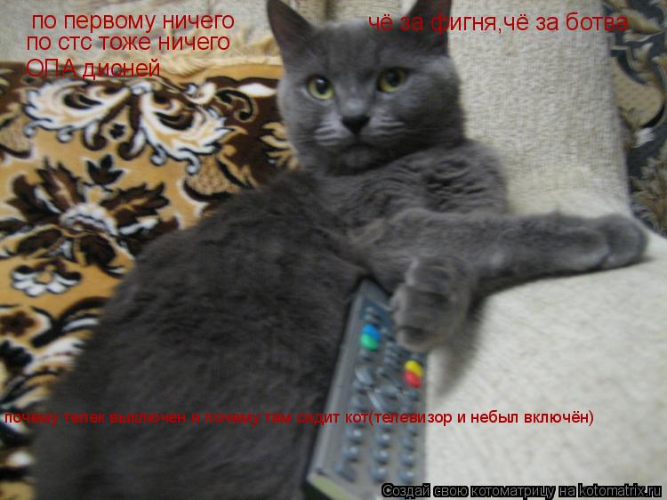 по первому ничего по стс тоже ничего ОПА дисней чё за фигня,чё за ботва почему телек выключен и почем... Котоматрица: по первому ничего по стс тоже ничего ОПА дисней чё за фигня,чё за ботва почему телек выключен и почему там сидит кот(телевизор и небыл включ