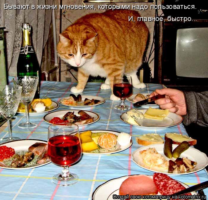 Бывают в жизни мгновения, которыми надо пользоваться. И, главное, быстро...... Котоматрица: Бывают в жизни мгновения, которыми надо пользоваться. И, главное, быстро...