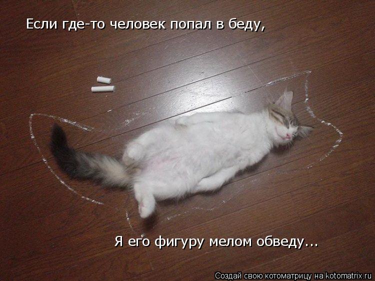 Если где-то человек попал в беду, Я его фигуру мелом обведу...... Котоматрица: Если где-то человек попал в беду, Я его фигуру мелом обведу...