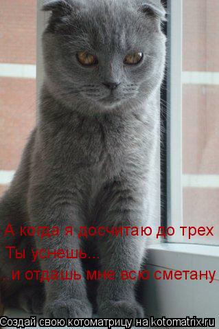 А когда я досчитаю до трех Ты уснешь... ..и отдашь мне всю сметану... Котоматрица: А когда я досчитаю до трех Ты уснешь... ..и отдашь мне всю сметану