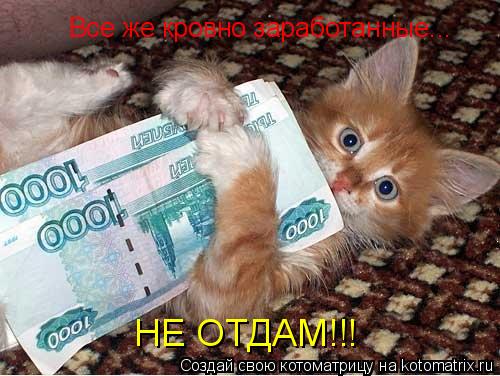 Котоматрица: Все же кровно заработанные... НЕ ОТДАМ!!!