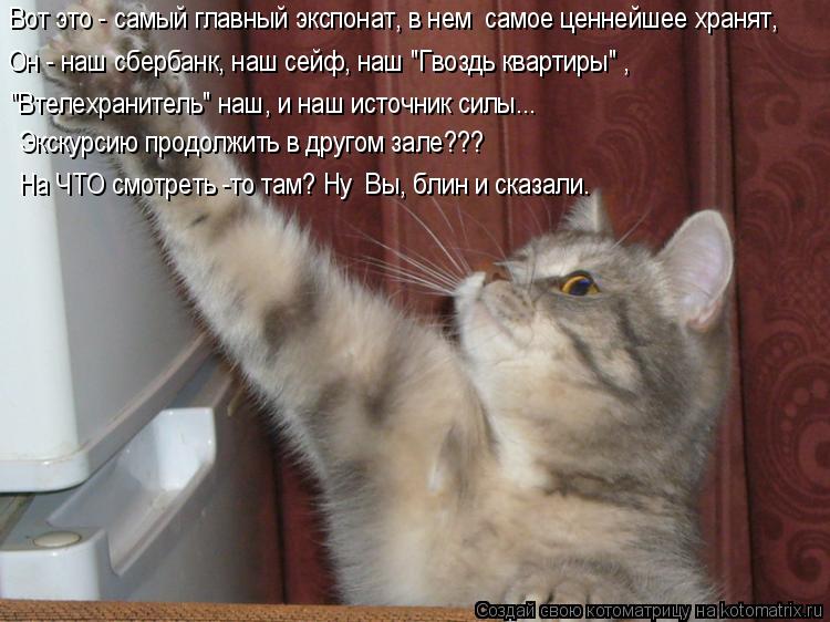 Вот это - самый главный экспонат, в нем самое ценнейшее хранят, Он - наш сбербанк, наш сейф, наш "Гв... Котоматрица: Вот это - самый главный экспонат, в нем самое ценнейшее хранят, Он - наш сбербанк, наш сейф, наш "Гвоздь квартиры" , "Втелехранитель" наш, и наш