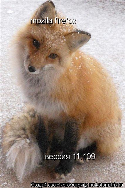 Котоматрица: mozila firefox версия 11.109