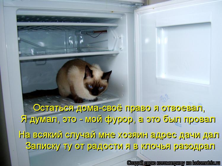 Остаться дома-своё право я отвоевал, Я думал, это - мой фурор, а это был провал На всякий случай мне ... Котоматрица: Остаться дома-своё право я отвоевал, Я думал, это - мой фурор, а это был провал На всякий случай мне хозяин адрес дачи дал Записку ту от радост