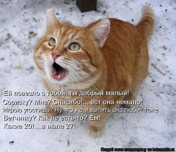 Котоматрица: Ей повезло с тобой, ты добрый малый!  Сосиску? Мне? Спасибо!... ест она немало! Икрою угостишь? Ну что же-и выпить она любит тоже Ветчинку? Как не