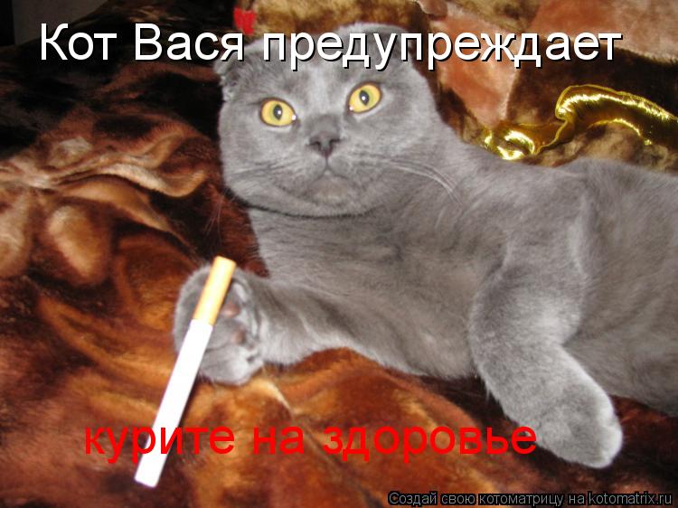 Котоматрица: Кот Вася предупреждает курите на здоровье
