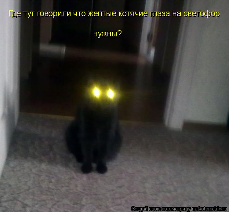 Котоматрица: Где тут говорили что желтые котячие глаза на светофор  нужны?