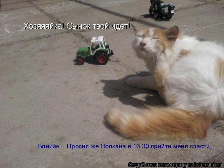 Котоматрица: Хозяяяйка! Сынок твой идет! Блииин... Просил же Полкана в 13.30 прийти меня спасти....