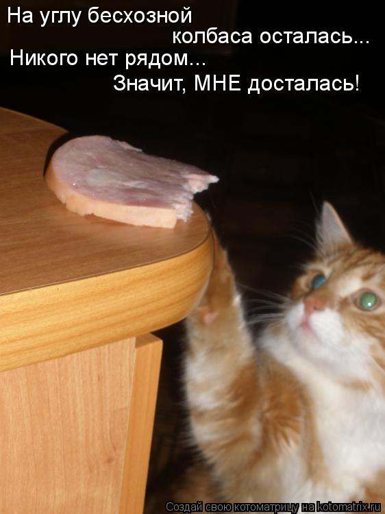 Котоматрица: На углу бесхозной колбаса осталась... Никого нет рядом... Значит, МНЕ досталась!