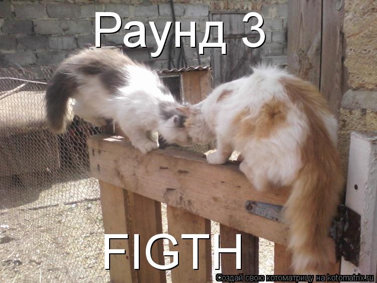 Раунд 3 FIGTH... Котоматрица: Раунд 3 FIGTH