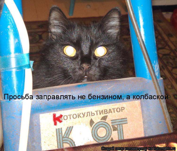 Просьба заправлять не бензином, а колбаской... Котоматрица: Просьба заправлять не бензином, а колбаской