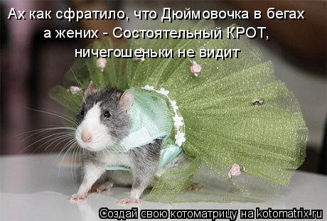Ах как сфратило, что Дюймовочка в бегах а жених - Состоятельный КРОТ, ничегошеньки не видит... Котоматрица: Ах как сфратило, что Дюймовочка в бегах а жених - Состоятельный КРОТ, ничегошеньки не видит