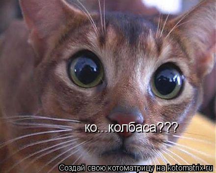 ко...колбаса???... Котоматрица: ко...колбаса???