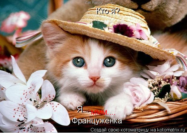 Кто я? Я... ммм.... Француженка... Котоматрица: Кто я? Я... ммм.... Француженка
