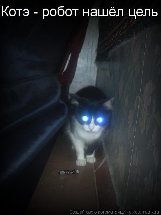 Котэ - робот нашёл цель... Котоматрица: Котэ - робот нашёл цель