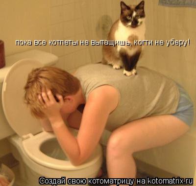 Котоматрица: пока все котлеты не вытащишь, когти не уберу!