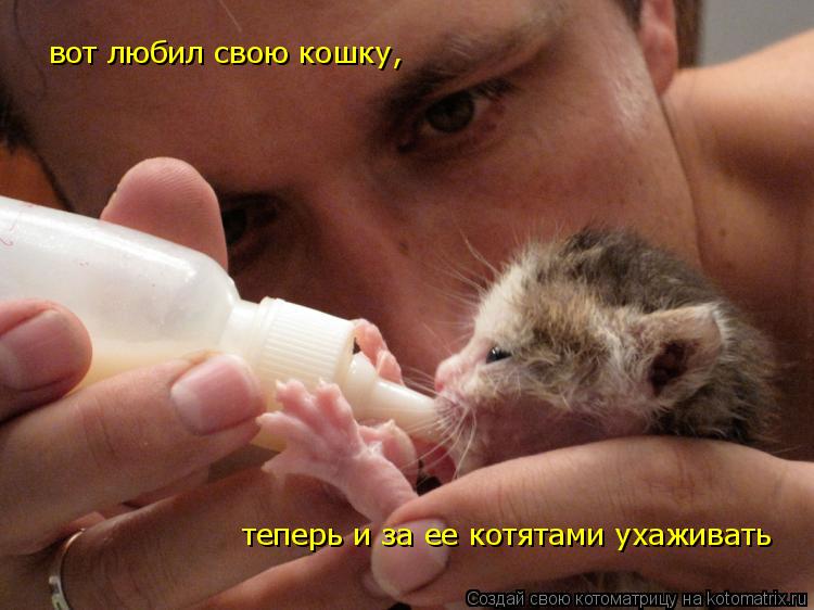 Котоматрица: вот любил свою кошку, теперь и за ее котятами ухаживать