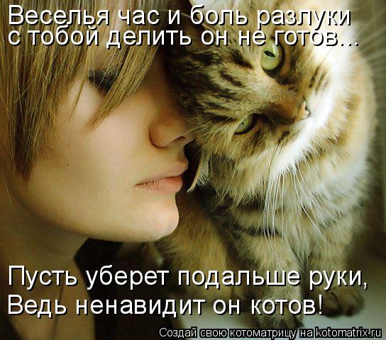 Котоматрица: Веселья час и боль разлуки с тобой делить он не готов... Пусть уберет подальше руки,  Ведь ненавидит он котов!